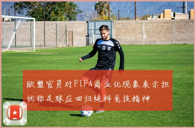 欧盟官员对FIFA商业化现象表示担忧称足球应回归纯粹竞技精神