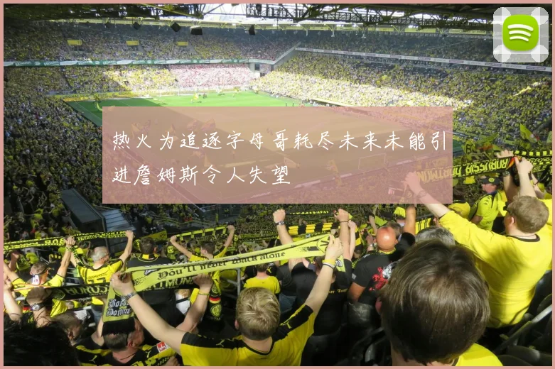热火为追逐字母哥耗尽未来未能引进詹姆斯令人失望